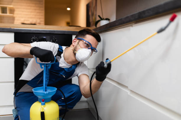 Best Best Pest Control Companies  in Eldorado At Santa Fe, NM