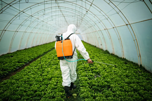 Best Commercial Pest Control Services  in Eldorado At Santa Fe, NM
