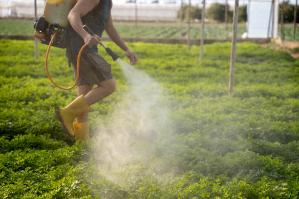 Best Pest Inspection Near Me  in Eldorado At Santa Fe, NM