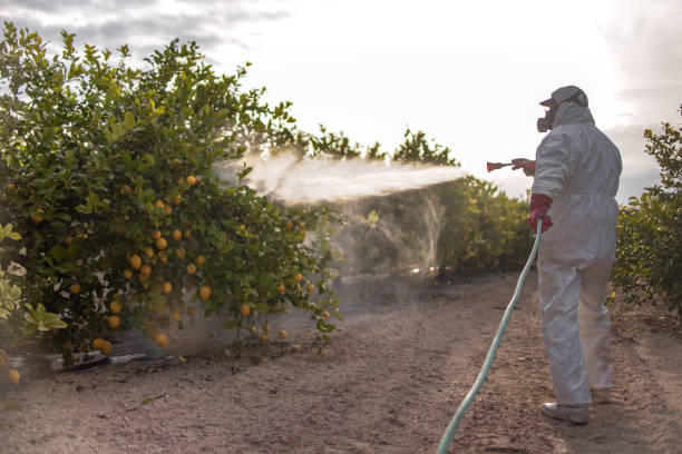 Professional Pest Control in Eldorado At Santa Fe, NM