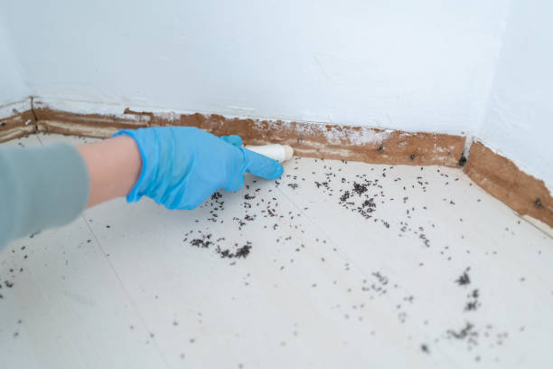 Reliable Eldorado At Santa Fe, NM Pest Control Solutions