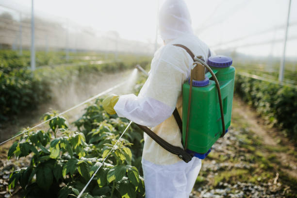 Pest Control for Restaurants in Eldorado At Santa Fe, NM
